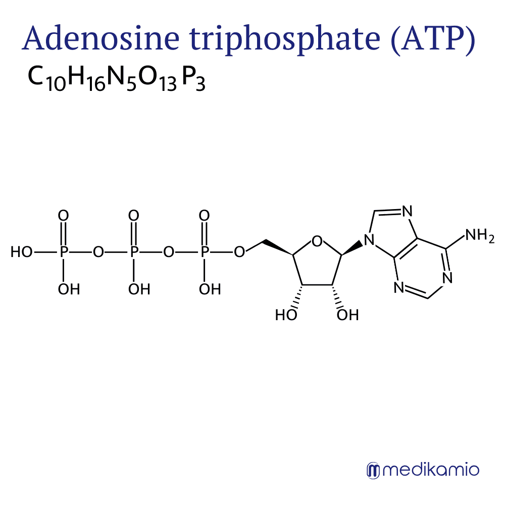 Struktur- und Summenformel Adenosintriphosphat (ATP) Grafik Strukturformel des Wirkstoffs Adenosintriphosphat (ATP)