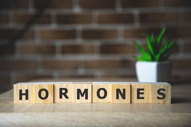 The English word "hormones" written on wooden cubes. HORMONE word written on wood block, medical concept