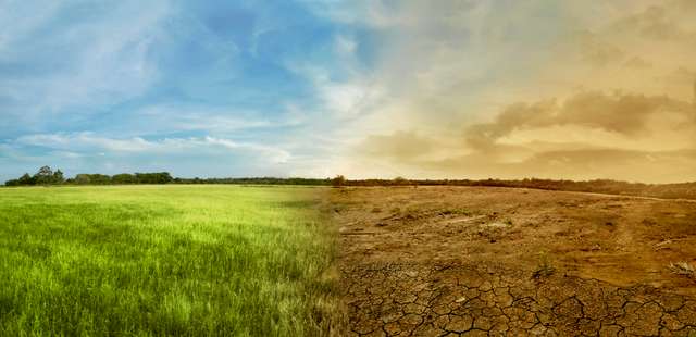 Landscape of the meadow field with the changing environment Divided landscape with green and dry meadow