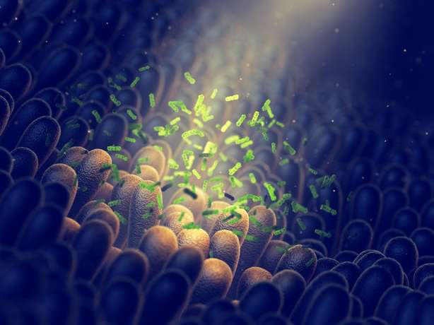 Illustrazione tridimensionale dei batteri intestinali batteri intestinali, salute della flora intestinale, imaging 3D