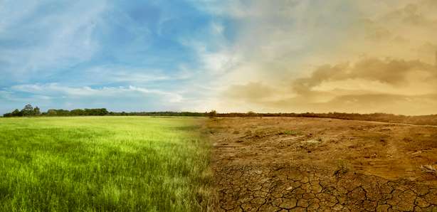 Landschaft der Wiese Feld mit dem sich wandelnden Umfeld Geteilte Landschaft mit grüner und trockener Wiese